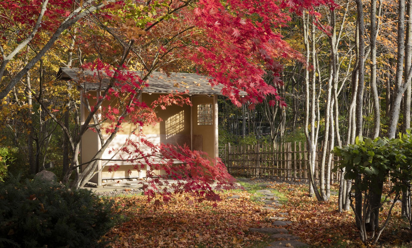 Pressbilder för det japanska tehuset Zui-Ki-Tei samt Etnografiska museets park och höstens antågande där