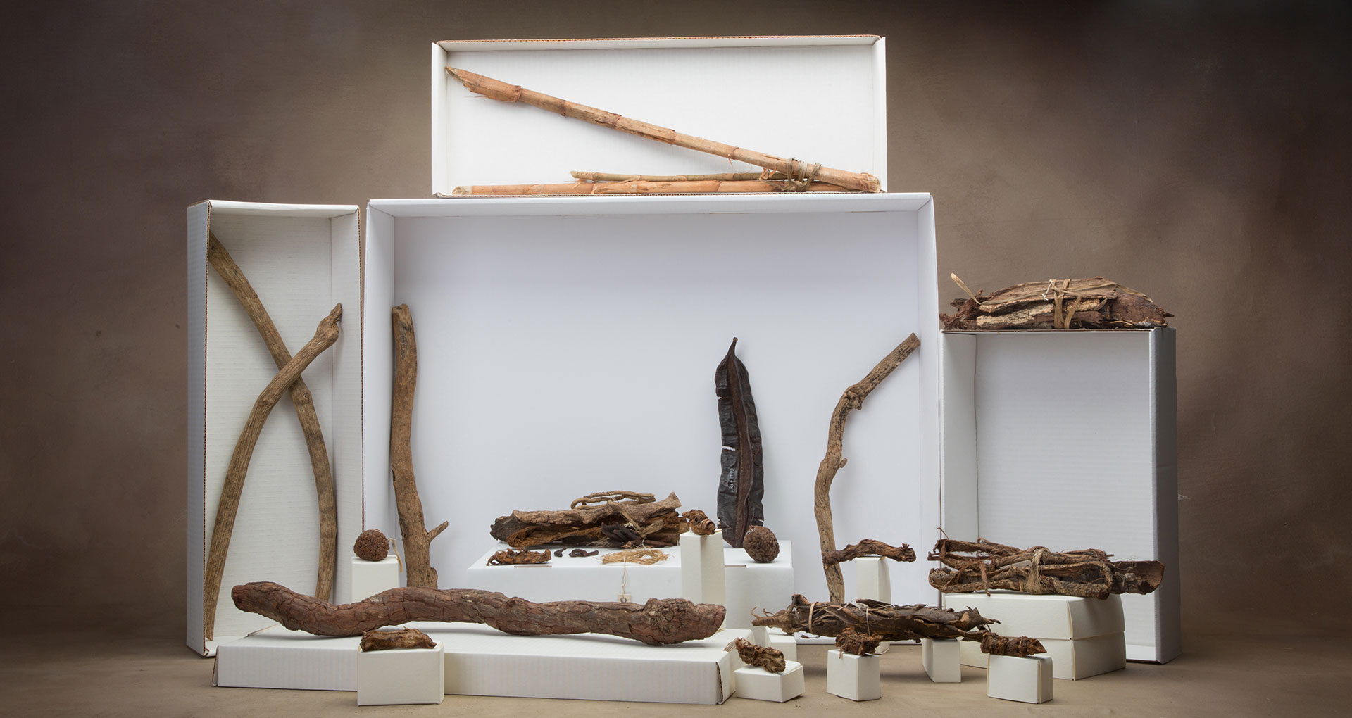 Photograph called "Medicine" by Diana Agunbiade - Kolawole from the exhibition Remixing the future