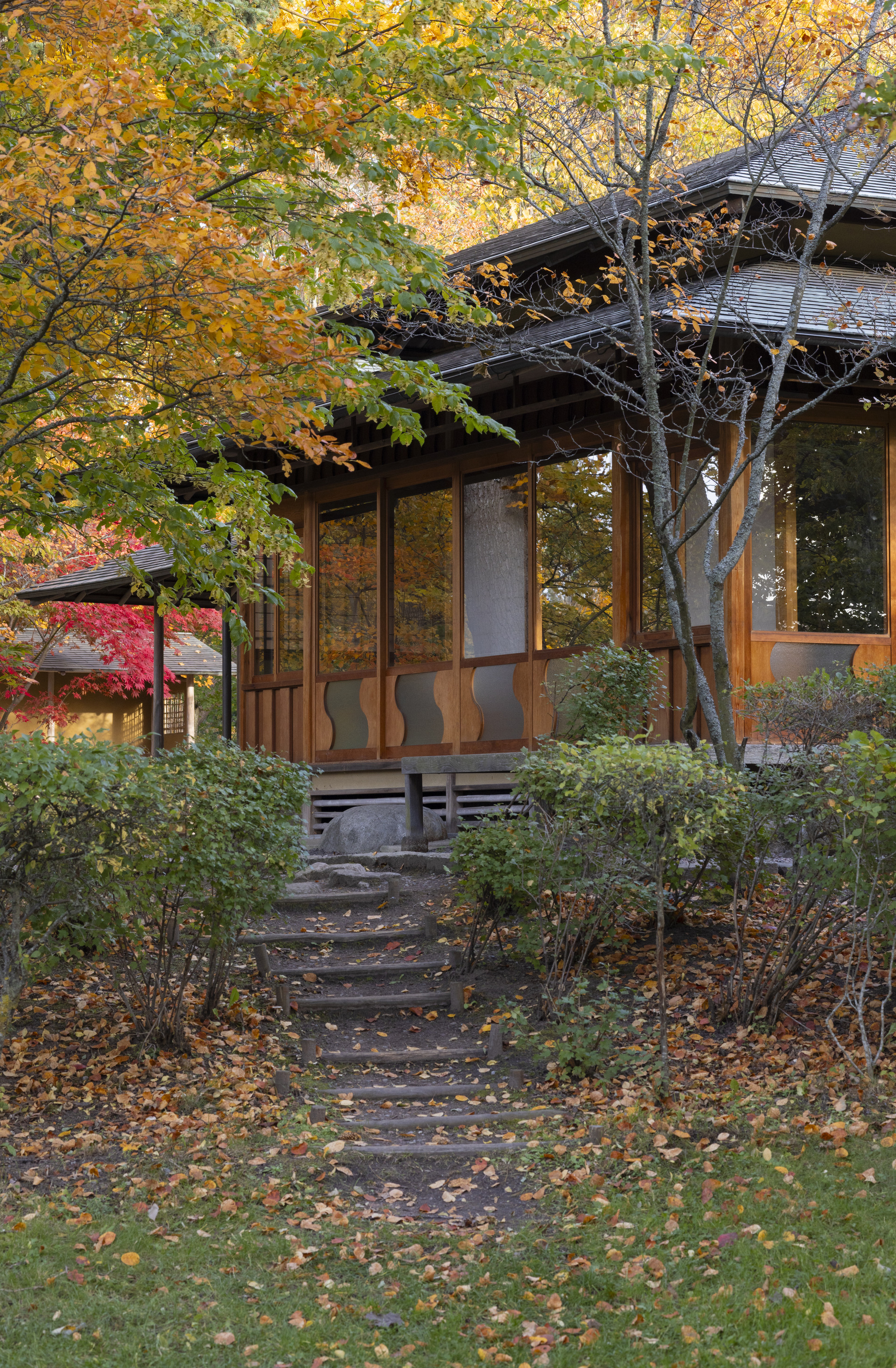 Pressbilder f&ouml;r det japanska tehuset Zui-Ki-Tei samt Etnografiska museets park och h&ouml;stens ant&aring;gande d&auml;r