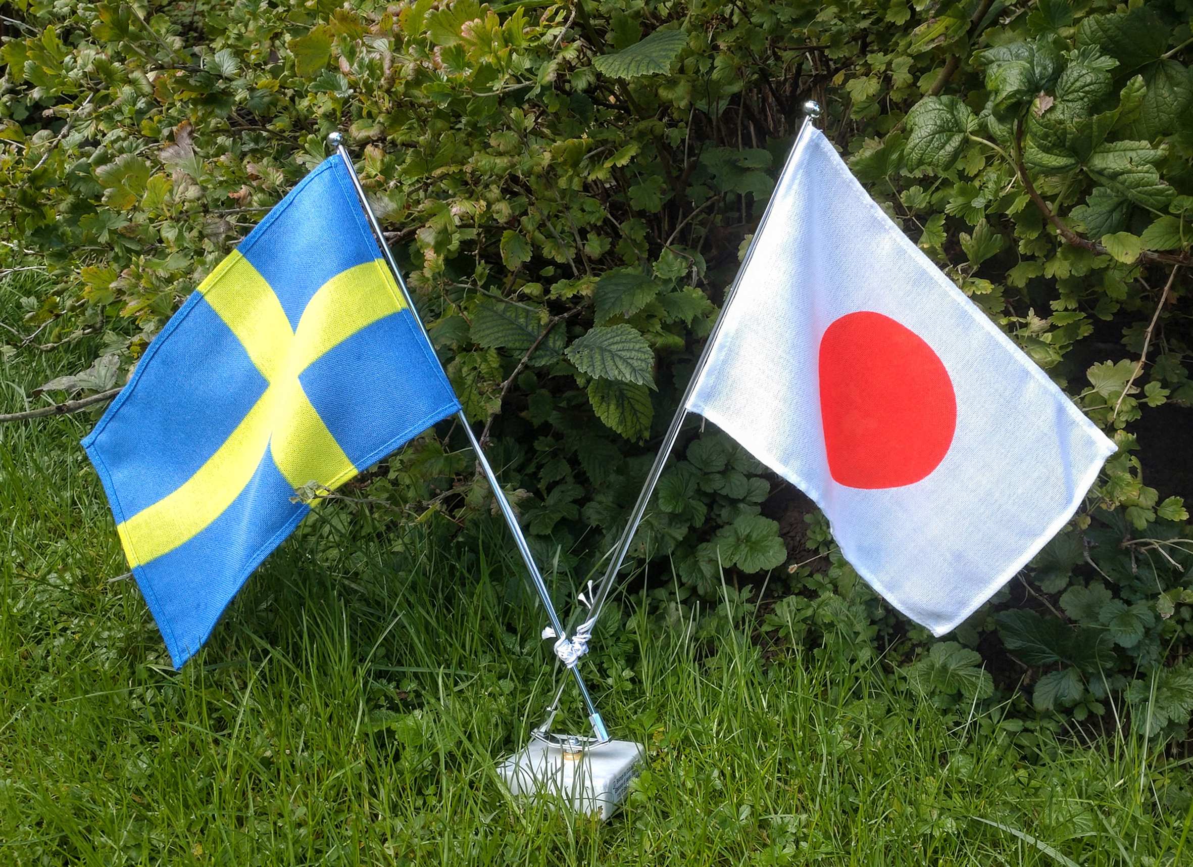 A Swedish and a Japanese flag