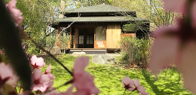 Japanska tehuset Zui-Ki-Tei i Museiparken Stockholm