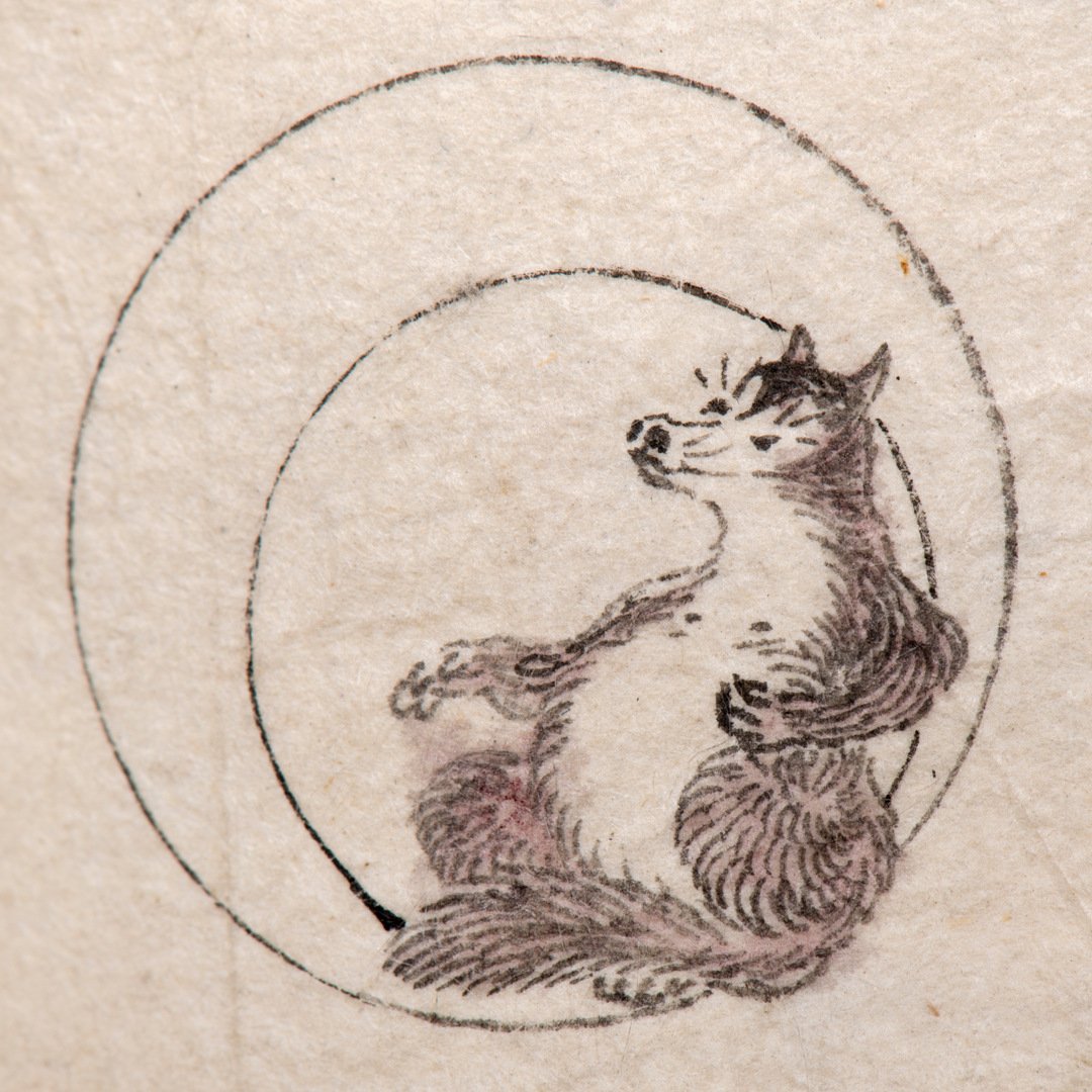 Tanuki från utställningen Yokai